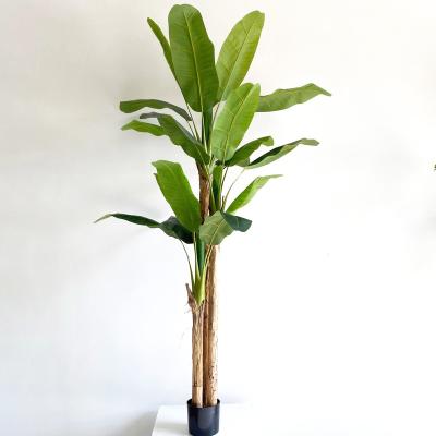 China Factory wholesale minimalist indoor plastic traveler home decor artificial large banana tree for sale