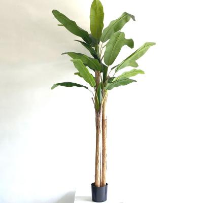 China Wholesale Indo Large Mall Minimalist Indoor Outdoor Home Hotel Decorative Artificial Plastic Banana Tree for sale