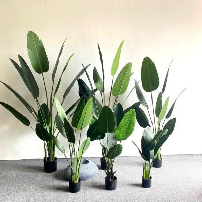 China New Design Traveler Banana Minimalist Plastic Decorative Artificial Tree Plants Home Decoration Tree for sale