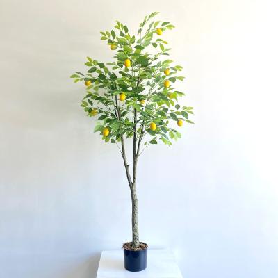 China Minimalist Wholesale Environmental Trunk Plastic Bonsai Indoor Decorative Lemon Tree 5 Ft Factory Artificial Green Artificial Tree for sale