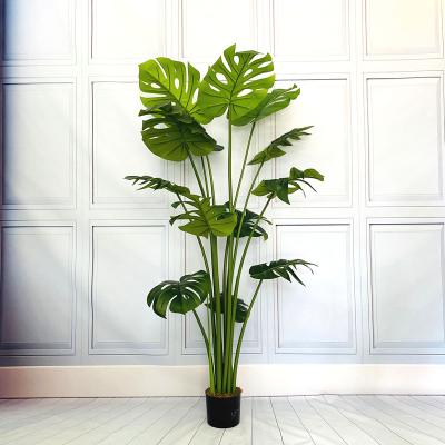 China Factory Direct Selling 180cm Nordic Style Minimalist Factory Plastic Monstera Tree Render Potted Artificial Bonsai Tree for sale