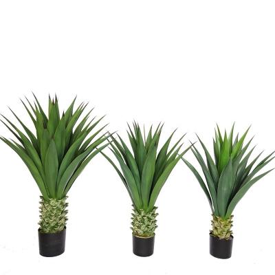 China Minimalist China Manufacture Almost Natural Plastic Agave Plant Home Decoration Artificial Plastic Sisal Hemp for sale