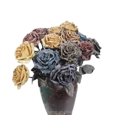 China Dry flowers form other decorative arrangements of flower roses and long stem plants forever for sale