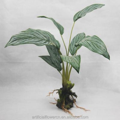 China Realistic Decorative Artificial Plastic Green Plant Calathea Crbifolia Maker for sale