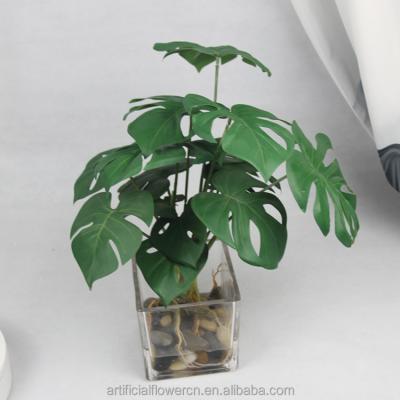 China Realistic Potted Plant Monstera Deliciosa Plastic Bonsai With Water Artificial Glass Pot for sale