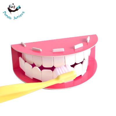 China Training Good Habits Preschool Educational Toys Focus On Protecting Teeth for sale