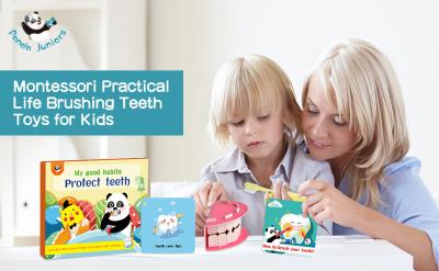 China Protect Teeth Educational Toys Teaching Brush Teeth For 3 Years Old Teeth Care Tip for sale