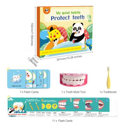 China Children Early Educational Toys Training Aid for Protecting Teeth for sale