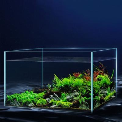 China Viable Plant Wholesale Siamese Fighting Hanging Cylindrical Aquarium For Plants Keeper for sale