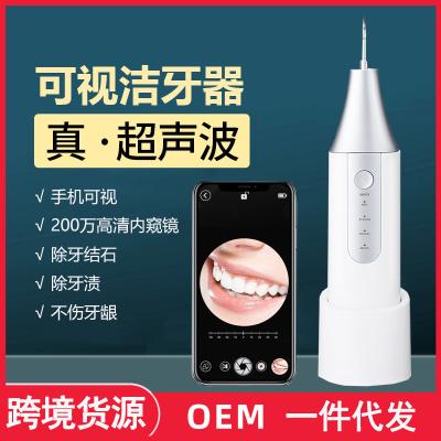 China Household Plastic General Intelligent Visual Ultrasonic Electric Grout Remover Tooth Plastics Beautifying Instrument 3 Speed ​​Remove Tar for sale