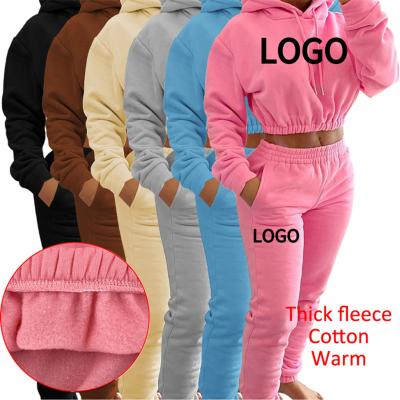 China 2021 Winter Women Sweatsuit Tracksuit Anti-Wrinkle Long Sleeve Top With Sweatpants And Hoodie Set 2 Pieces Set Women Pants Two Piece Set for sale