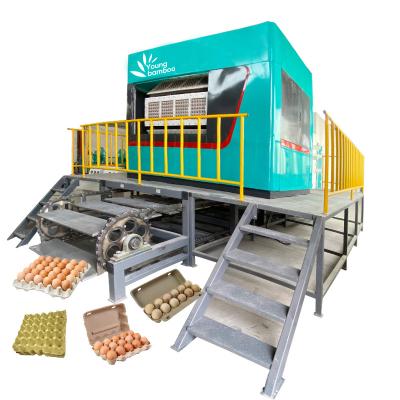 China Automatic Paper Egg Tray Molding Fully Egg Tray Carton Production Line Equipment for Chicken Farm Egg Tray Making Machine Egg Tray Machine for sale