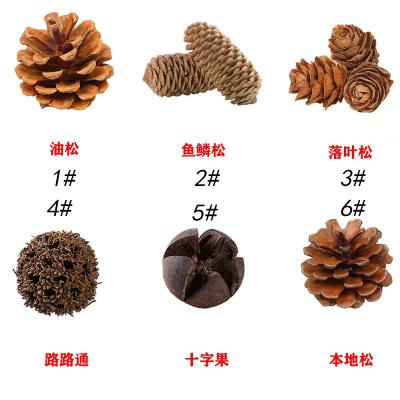 China Chirstmas Decor Factory Wholesale Of High Quality Natural Gable Christmas Decorations, Shooting Props, Dried Flowers for sale