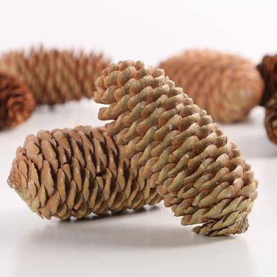 China Chirstmas Decor Fish Scale Pine Fruit Christmas Tree Pine Tower Flower Dry Material Shooting Prop Prop for sale