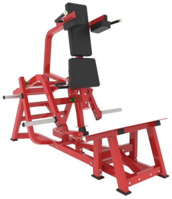 China Special design new type posed life fitness biceps curl machine DA-8027 for sale