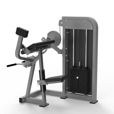 China Good Quality Various Fitness Equipment Gym Strength Biceps Training DA-6007 for sale