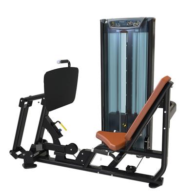 China Factory Sale Extension Various Seated Leg Press Gym Equipment DA-N5006 for sale