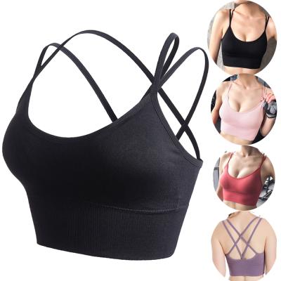 China Breathable Fitnes Plus Size Sports Yoga Seamless Underwear Gym Running Crop Top Women Push Up Sports Bra Vest for sale