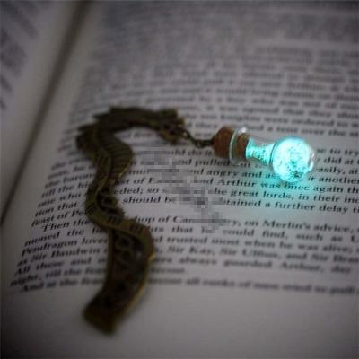 China Europe Dragon Glow In The Dark Fantasy Book Nerdy Bottle Landmark Knot Gift for sale