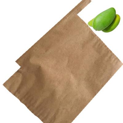 China Fruit Breeding Protection Bag Mango Paper Bag Fruit Cover Bag for sale