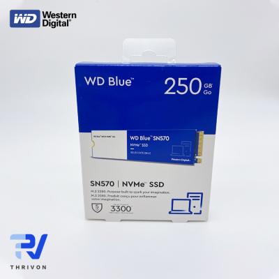 China WESTERN DIGITAL WD SN570 BLUE 250GB Solid State Drive GO NVME Solid State Drive for sale