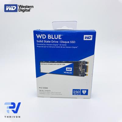 China BLUE SOLID STATE DRIVE M.2 2280 250GB WESTERN DIGITAL WD DRIVE for sale