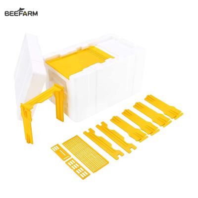 China Mini Nuc Hot Sale Beekeeping Equipment Polysterene Hive Beekeeping PP Horizontal Packaging Nuc Boxes for sale