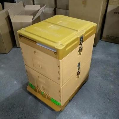 China Langstroth Bee Farm Bee Keeping Plastic Honey Comb Feeding Polystyrene Beehives Outlet for sale