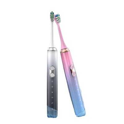 China Private Label Sonic Electric Toothbrush Sonic Toothbrush Oral Care Head Battery Operated Automatic Toothbrush Replacement For Adult for sale