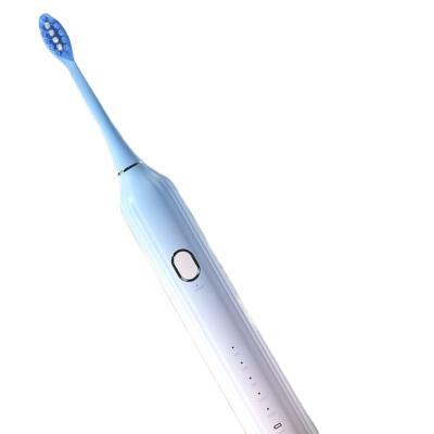 China Private Label Sonic Electric Toothbrush Sonic Toothbrush Oral Care Head Battery Operated Automatic Toothbrush Replacement For Adult for sale