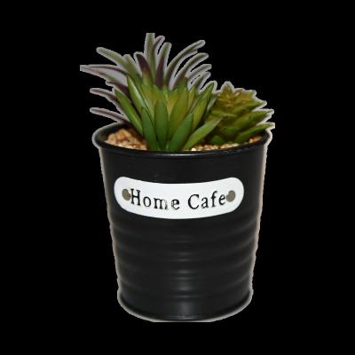 China Simulation artificial desktop meat garden decoration plant artificial flower green potted plant for sale