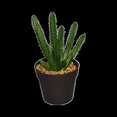 China Mini Decoration Simulation Plants Artificial Nordic Indoor Cactus Ornaments Small Green Plants Desktop Potted Plants for sale