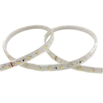 China Waterproof IP68 LANDSCAPE Swimming Pool Strip Light 60LED/meter 5meter/roll 24V LED Strip Light for sale