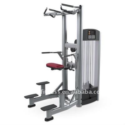 China Gym Equipment / Life Fitness / Dip Chin (T11-037) Assist T11-037 for sale