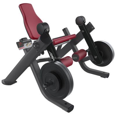 China Multifunctional Fitness Center Leg Extension Gym Equipment Leg Raise Machine for sale