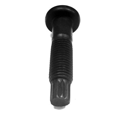 China Stainless Steel Dacromet Hot Dip Galvanized Black Oxide Round Head Torsional Shear Bolts 8.8 10.9 12.9 Grade Steel Structures Bolts for sale