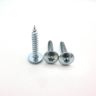 China Hot Selling Truss Head Truss Self Tapping Screws, Galvanized Carbon Steel, Torx for sale