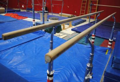 China Sale Used Physical Therapy  Gymnastics  PARALLEL BARS FOR CHILDREN for sale