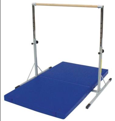 China Gymnastics Equipment   Female Olympic  Avai Recreational  Single Bar Recreational Gymnastics for sale