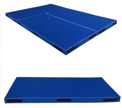 China Washable Material Gymnastics Soft Mat 600x200x10cm With Diverg. Demarcation Lines, Blue for sale