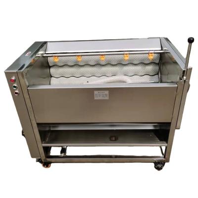 China Fruit processing plant fruit and vegetable cleaning machine peeling machine price washing peeling machine for sale for sale