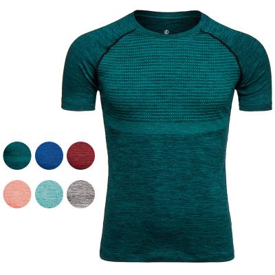 China Custom Fit Men's Gym Fitness Fitness Sport Fit Tee Antibacterial Short Sleeve Cool dty Gym Shirts for sale