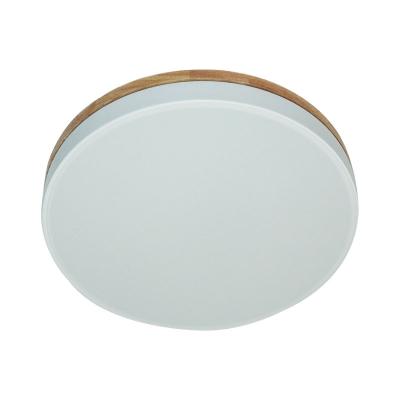 China 24W Home Ceiling Light Outdoor Mounted Natural Modern Round Indoor Lamp for sale