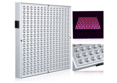 China Flat Panel Stylish Indoor Grow LED Lights 38W 45W 310 x 310 x 35mm Convenient for sale