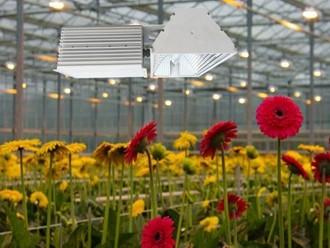 China Easy Installation Plant Grow Lights 630W Low Frequency Ballasts With Soft Start for sale