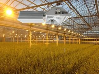 China Easy Mounting HID Grow Lights High Efficiency With Very Low Energy Consumption for sale