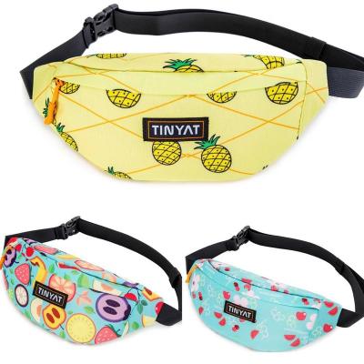 China New Style Water Proof Pussy Waterproof Package Printing Nylon Waist Bag For Men And Women Belt Bag Cross - Body for sale