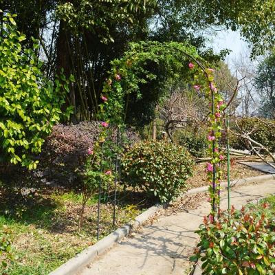 China Easily Assembled Easily Assembled Floral Iron Arches For Sale Amazing Traditional Round Shaped Garden Arch for sale