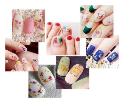 China 3D ABS Three-Dimensional Manicure Dried Flower for sale