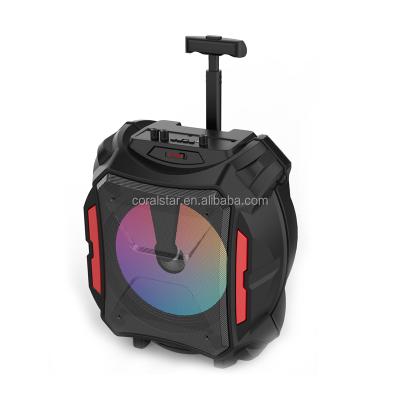 China PORTABLE 12 Inch Portable 30w Outdoor Speaker Speaker for sale